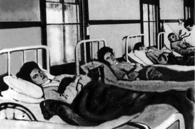 The Terrible Tale of Typhoid Mary