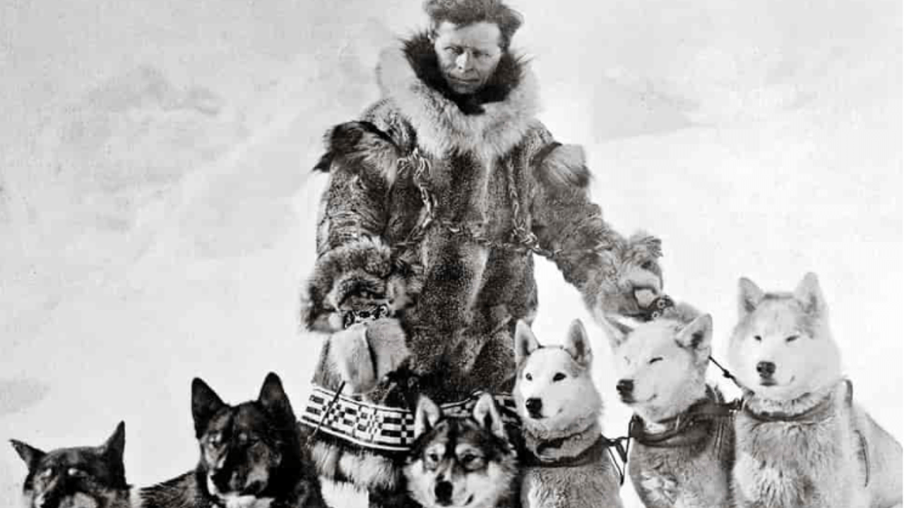 Togo and the Diphtheria Serum Run